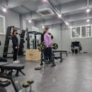 하드캐리짐 이미지