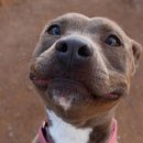 일요일(특별) 이미지