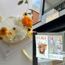 수원-0814 이미지