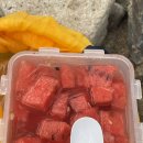 [경기 포천 숙소] 한화리조트 산정호수 안시 디럭스 숙박 내돈내산 후기(계곡, 모바일 체크인, 사우나...
