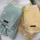 푸리미엄 이미지