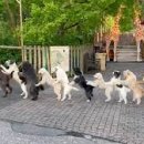 태종태권도 이미지