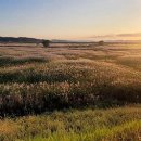 공원카센타 이미지