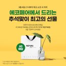 에코커뮤니케이션