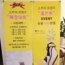 스카이스크린 이미지