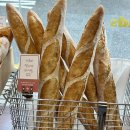 방배카페거리 1-7 이미지