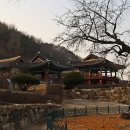 영천서원 Daum카페