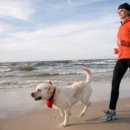 강아지와 나 이미지