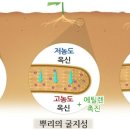 정아과일 네이버블로그