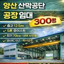 뉴금강공인중개사사무소 이미지