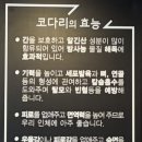 해수네코다리 이미지