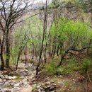 산음캠핑 이미지