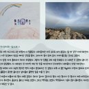 두려움을 넘어 산왕이 되기까지 — 5학년의 지리산 종주 이야기