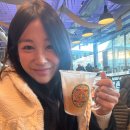 비브라더 | 런던여행🇬🇧 (5세 아이와 해리포터투어 / 런던워너브라더스튜디오투어 후기/ 예매꿀팁)