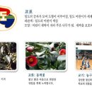 일도초등학교 이미지