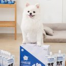 디어마이펫 이미지