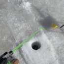 송어축제 | 대성리 송어축제 후기｜입장료·체험 솔직후기 아이랑 다녀온 리얼체험