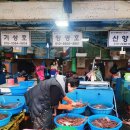 무풍건어물 | 묵호항 대게추천, 무풍건어물과 곰치국맛집 경동식당까지 들른 내돈내산 후기