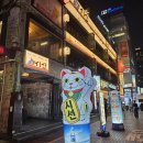 [강남역/신논현] 강남 술집 가성비 좋은 이자카야 시선 강남점 눈꽃살일품구이 내돈내산 솔직후기