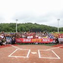 고성군 야구장 이미지