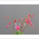 용해사