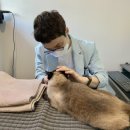 영등포 동물병원 이미지
