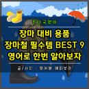 레인부츠 레인코트 제습기 제습제 건조기 등 장마철 필수템 BEST 9 영어로 한번 알아보자 (ft. wellies...