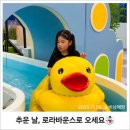 아이와 꼭 가볼만한곳, 2000평 초대형키즈카페! 로라바운스 천호점 후기