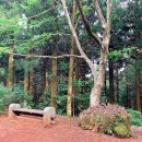 제주기사 이미지