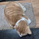 영 당구장 | 경기도인의 당진살이!! 당진 일기!! (+당진술집, 당진맛집, 당진데이트)