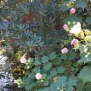 정모시공원 이미지