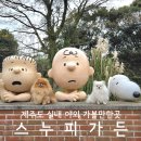 스누피 애견 | 제주도 가볼만한곳 실내 야외 관광지 스누피가든 애견동반 내돈내산 후기