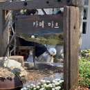 청산도다현재 | [청산도] 청산도 감성카페 추천 ‘카페 마르’ & ‘다현재’ (위치, 주차, 이용시간)