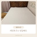 냉감패드 추천 세인트구스 여름이불 침대패드 후기