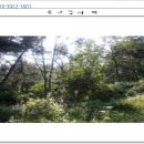 당리동-11 이미지