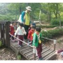 숲속연세유치원 네이버블로그