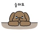 왕자미용실