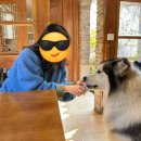 설산약국 이미지