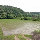 효자 이면주 정려 이미지