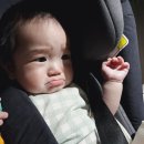 희베희베 이미지