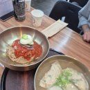 1381 | 수원영통역맛집 사계면반 영통본점 비빔냉면 만둣국 후기