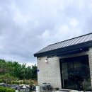 월드니스 이미지