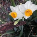 나드리민박 이미지