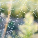 신동지낚시터 이미지