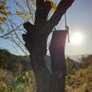 매실농원민박 이미지