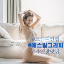 에스알그라피