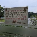 목화냉면 네이버블로그