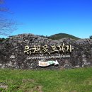 유채꽃프라자 Daum카페