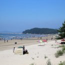 춘장대 충청탑뉴스