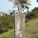 장암 점상리산성 | [충남 부여]수죽(脩竹) 조방직(趙邦直), 낙수(樂叟) 조광형(趙光亨) 묘